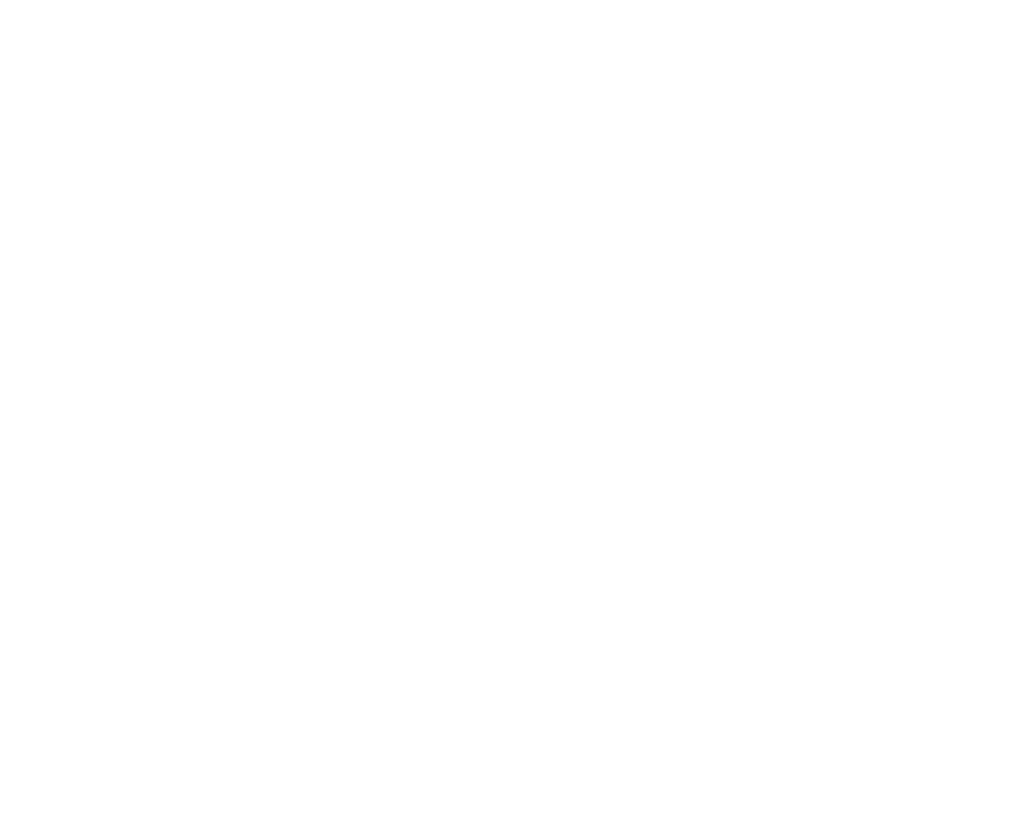 Denalis Logo WHITE