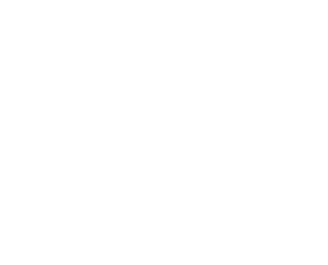 Denalis Logo WHITE